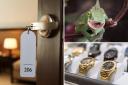 Ever left something in a hotel room? These are the strangest items guests have forgotten including lizards and pipes.