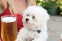 A Warrington pub has ranked top in the north west for being dog-friendly