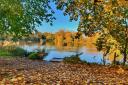 Gerry Brown took this beautiful Autumnal image at the Somersham Nature Reserve.