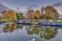 Autumns colours in Ely at sunset.