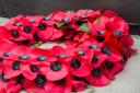 Many people wear poppies during November for Remembrance Day, but why was the poppy chosen?