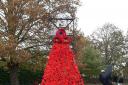 A stunning poppy cascade has been created by members of the Stretham Women's Institute.