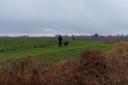 Three men were arrested in connection with hare coursing in Chatteris.