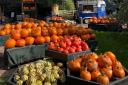 Discover bountiful pumpkin displays in Autumn.