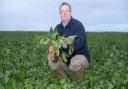 The NFU has congratulated Michael Sly on receiving an MBE in the Queen’s Birthday Honours for his services to agriculture in East Anglia.