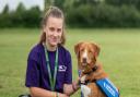 15-year-old Emily Rice, from Gorefield, and her Nova Scotia Duck Tolling Retriever, Holly-Mae (pictured) was one of 40 youngsters who attended the Young Kennel Club summer camp at Rutland Showground.