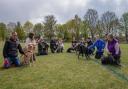 One of Britain’s largest labrador puppy litters, born in Wentworth near Ely, have been reunited for the first time after their birth last year.