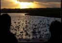 Visitors watching swans shortly after sunrise.