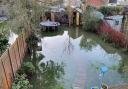 Rob Stevens\' garden flooded in Butt Avenue in the Christmas 2020 floods.