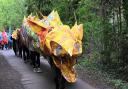 Last year's Fenland St George’s Festival dragon