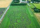 Skylark Events in Wimblington, Cambridgeshire, is backing Team GB during the Paris Olympics with its maize maze challenge.