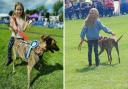 Amelia Neave won 'Best in Show' and 'Best Junior Handler' at the Manea Gala Dog Show