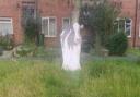 A cardboard cow mysteriously appeared in the long grass at a field in Mepal.