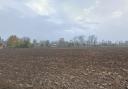 The land is south of Barker's Lane and east of Wimblington Road in March.