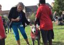 Burrowmoor Primary Academy in March, Cambridgeshire, recently hosted a heartwarming sponsored dog walk