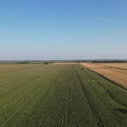 Norfolk County Council's 136 acre NCC Farm, Manea Fifties, Welney, forms part of the Welney Farms Estate