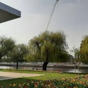 A paddleboarder died after getting into difficulty on the River Nene in Peterborough.