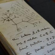 One notebook contained Charles Darwin's famous 1837 Tree of Life sketch, which sets out the theory of evolution