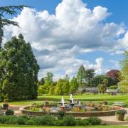 You can enjoy a virtual exploration of the Botanic Garden as part of the Cambridge Festival, finding out what's in season, what's in bloom, and explore some of the reserve areas.