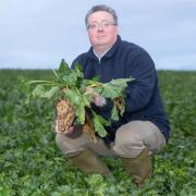 The NFU has congratulated Michael Sly on receiving an MBE in the Queen’s Birthday Honours for his services to agriculture in East Anglia.