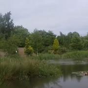 Lakeside Caravan Park in Denver, Norfolk.