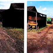 Low Bank Farm, Mepal, where a farmhouse can now be built