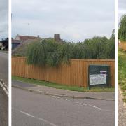 Dunstan Street fence that planners say must go