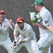 Ben Chapman celebrates a wicket for March Town vs Cambridge St Giles.