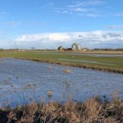 Flooded site and surrounding area of the Berryfield development, in March, which has permission to build up to 30 homes.