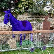 A poppy horse and iron soldier war dog created by the Whittlesey Poppy Blitz.