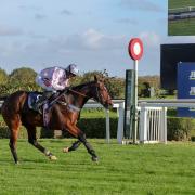 Jetoile at Aintree earlier this year.