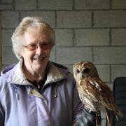 Lynne holding Ra the tawny owl on a recent visit to Fens Falconry in Wisbech St Mary.