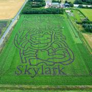 Skylark Events in Wimblington, Cambridgeshire, is backing Team GB during the Paris Olympics with its maize maze challenge.