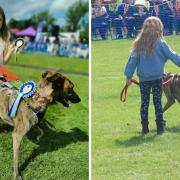 Amelia Neave won 'Best in Show' and 'Best Junior Handler' at the Manea Gala Dog Show