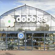 Dobbies Garden Centre in Banks End, Wyton, Huntingdon is to close.