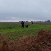 Three men were arrested in connection with hare coursing in Chatteris.