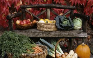 Visit the Wimpole Kitchen Garden produce stall.