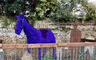 A poppy horse and iron soldier war dog created by the Whittlesey Poppy Blitz.