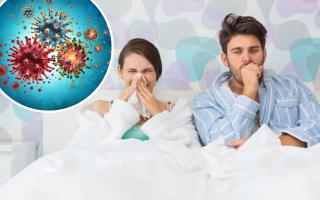 There has been more than 18,000 death from the flu and 19,500 from Covid over the last two winters, according to the NHS.