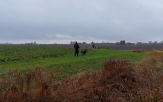 Three men were arrested in connection with hare coursing in Chatteris.